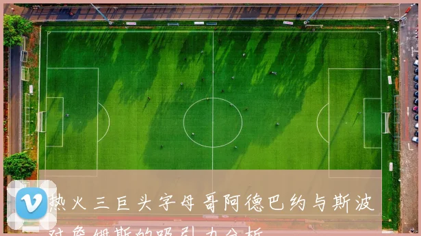 热火三巨头字母哥阿德巴约与斯波对詹姆斯的吸引力分析